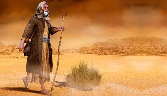 images (25)